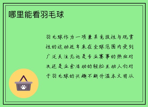 哪里能看羽毛球