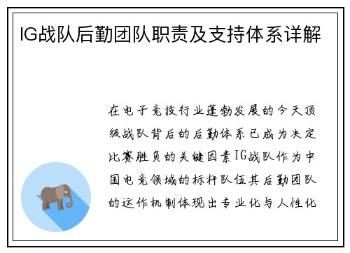 IG战队后勤团队职责及支持体系详解