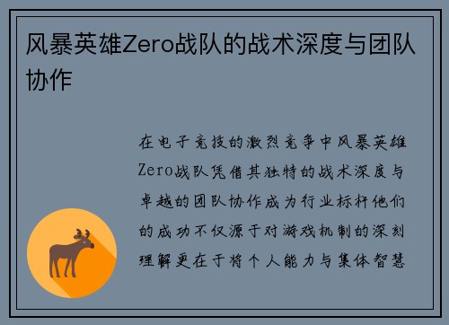风暴英雄Zero战队的战术深度与团队协作
