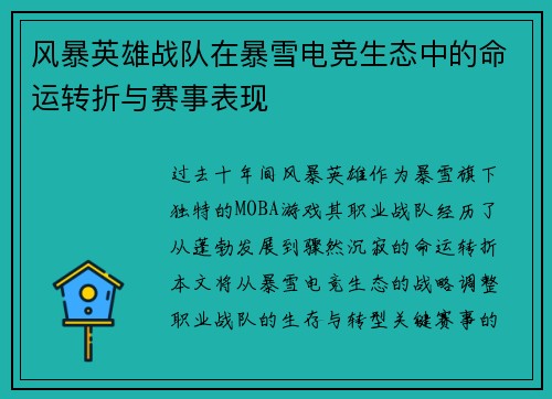 风暴英雄战队在暴雪电竞生态中的命运转折与赛事表现